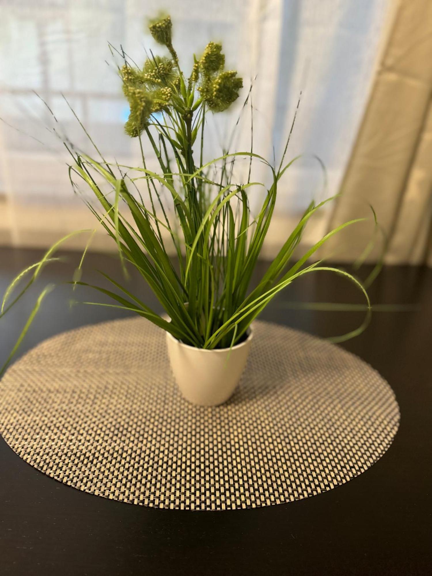 M&Bluxux Apartaments Крефелд Екстериор снимка